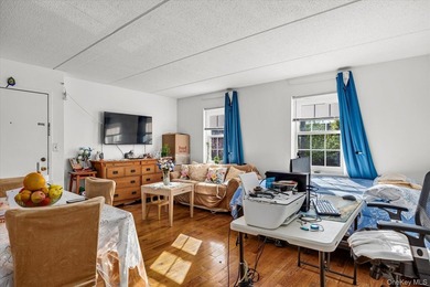 Fantastic Investment Opportunity in the Heart of the Bronx - - photo 18