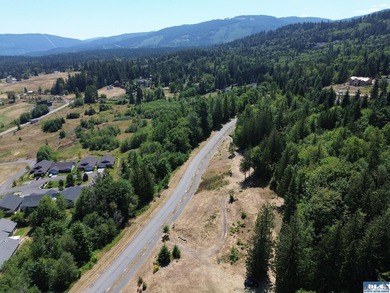Build your dream home on this spacious 0.8 acre lot in the - photo 8