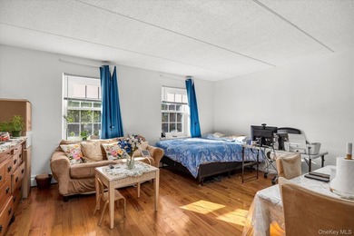 Fantastic Investment Opportunity in the Heart of the Bronx - - photo 19