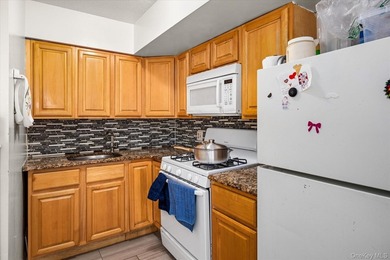 Fantastic Investment Opportunity in the Heart of the Bronx - - photo 20