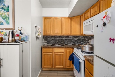 Fantastic Investment Opportunity in the Heart of the Bronx - - photo 21