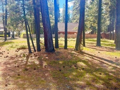 Beautiful level, partially cleared lot in Chester with partial - photo 1
