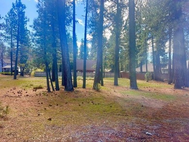 Beautiful level, partially cleared lot in Chester with partial - photo 2
