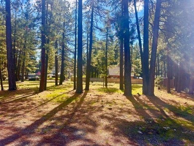 Beautiful level, partially cleared lot in Chester with partial - photo 3