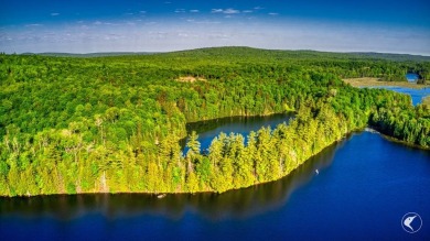 (private lake, pond, creek) Acreage For Sale in Malone New York