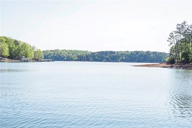Bring your home plan and claim your piece of Lake Hartwell - photo 2