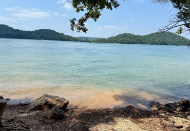 Lakefront Home with Gentle Walk to Shoreline - Lake Home For Sale in Eureka Springs, Arkansas