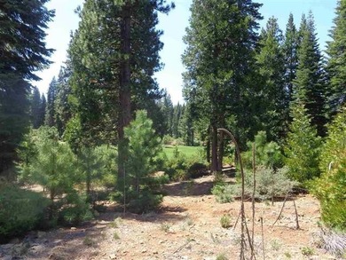 Own a piece of Paradise. This golf course lot at Bailey Creek is - photo 4