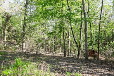 Bring your home plan and claim your piece of Lake Hartwell - photo 6
