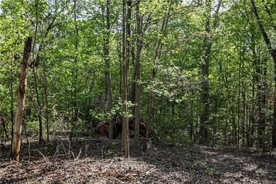 Bring your home plan and claim your piece of Lake Hartwell - photo 7
