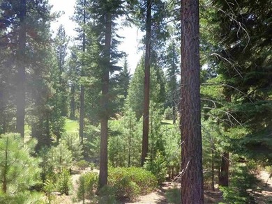 Own a piece of Paradise. This golf course lot at Bailey Creek is - photo 8