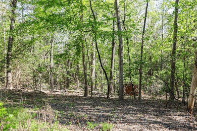 Bring your home plan and claim your piece of Lake Hartwell - photo 8
