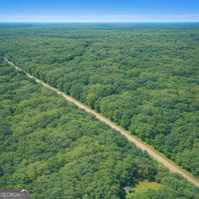 Welcome to 2.04 acres located in Midway, Liberty County! This - photo 11