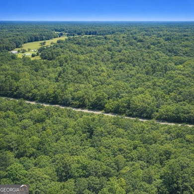 Welcome to 2.04 acres located in Midway, Liberty County! This - photo 12