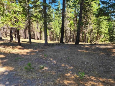 Beautiful parcel in Lake Almanor West. .80 acres. Great building - photo 2