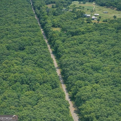 Welcome to 2.04 acres located in Midway, Liberty County! This - photo 13