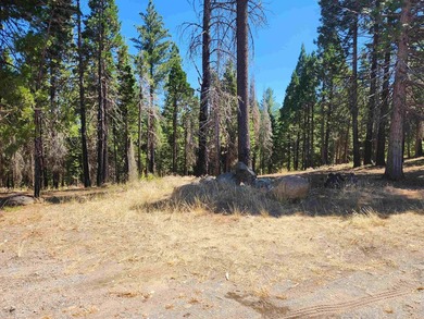 Beautiful parcel in Lake Almanor West. .80 acres. Great building - photo 4