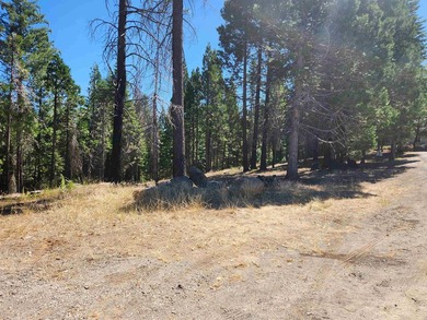 Beautiful parcel in Lake Almanor West. .80 acres. Great building - photo 5
