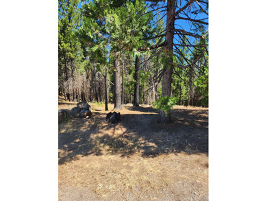 Beautiful parcel in Lake Almanor West. .80 acres. Great building - photo 7