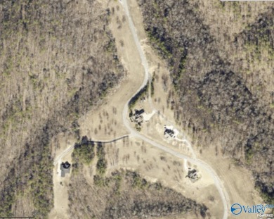 Lake Acreage For Sale in Cedar Bluff, Alabama