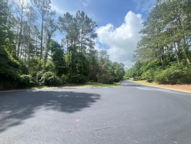 Lake Lot For Sale in Sumter, South Carolina