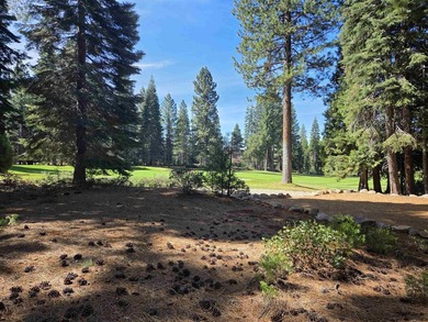 Exceptional golf course parcel in Bailey Creek, home to the - photo 1