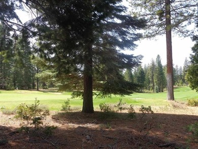 Exceptional golf course parcel in Bailey Creek, home to the - photo 3