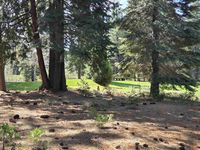 Exceptional golf course parcel in Bailey Creek, home to the - photo 6