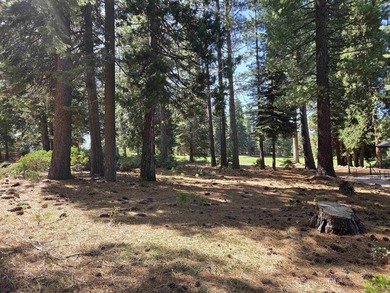 Exceptional golf course parcel in Bailey Creek, home to the - photo 7
