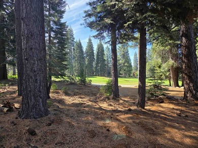 Exceptional golf course parcel in Bailey Creek, home to the - photo 8