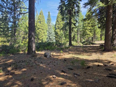 Exceptional golf course parcel in Bailey Creek, home to the - photo 9