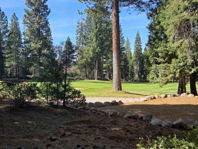 Exceptional golf course parcel in Bailey Creek, home to the - photo 10