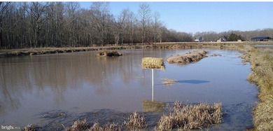 ONCE IN A LIFETIME BIG BUCK FARM PLUS GEESE, WOOD DUCKS AND - photo 6
