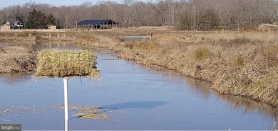 ONCE IN A LIFETIME BIG BUCK FARM PLUS GEESE, WOOD DUCKS AND - photo 8