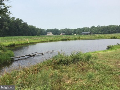 ONCE IN A LIFETIME BIG BUCK FARM PLUS GEESE, WOOD DUCKS AND - photo 9