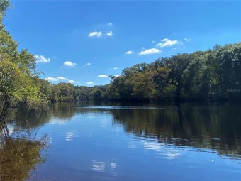 (private lake, pond, creek) Home For Sale in Branford Florida