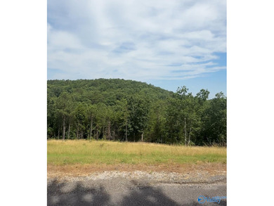 Lots 48 and 49 are offered for $124,000. Enjoy extravagant views - photo 4