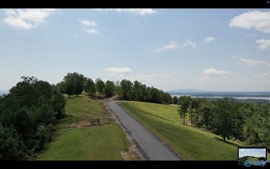 Lots 48 and 49 are offered for $124,000. Enjoy extravagant views - photo 5