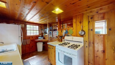 This charming waterfront cabin on Lake Kabetogama is a must-see - photo 20