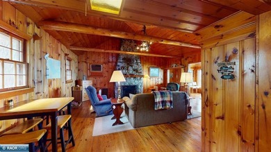 This charming waterfront cabin on Lake Kabetogama is a must-see - photo 22