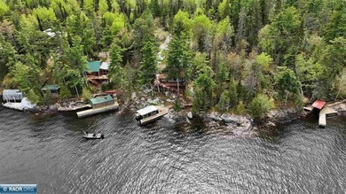 This charming waterfront cabin on Lake Kabetogama is a must-see - photo 37