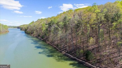 Lake Laceola Lot For Sale in Cleveland Georgia