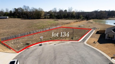 Lake Lot For Sale in Winona, Texas