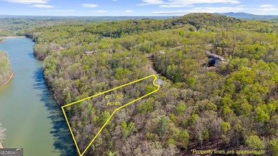 ONLY LAKEFRONT LOT CURRENTLY AVAILABLE IN LAKE LACEOLA | APPROX - photo 2