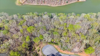 ONLY LAKEFRONT LOT CURRENTLY AVAILABLE IN LAKE LACEOLA | APPROX - photo 4