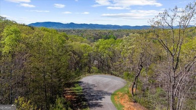 ONLY LAKEFRONT LOT CURRENTLY AVAILABLE IN LAKE LACEOLA | APPROX - photo 5
