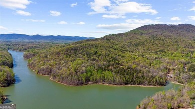 ONLY LAKEFRONT LOT CURRENTLY AVAILABLE IN LAKE LACEOLA | APPROX - photo 6
