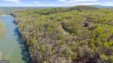 ONLY LAKEFRONT LOT CURRENTLY AVAILABLE IN LAKE LACEOLA | APPROX - photo 7
