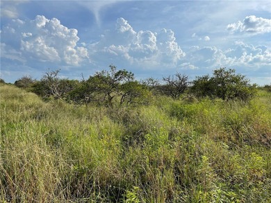 13.34 +/- acre older/dead grove, ripe for transitioning to a new - photo 2