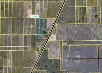 13.34 +/- acre older/dead grove, ripe for transitioning to a new - photo 3